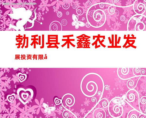 勃利县禾鑫农业发展投资有限公司抢垦分公司