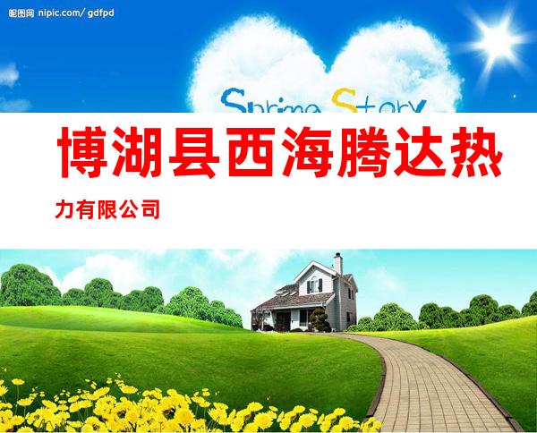 博湖县西海腾达热力有限公司