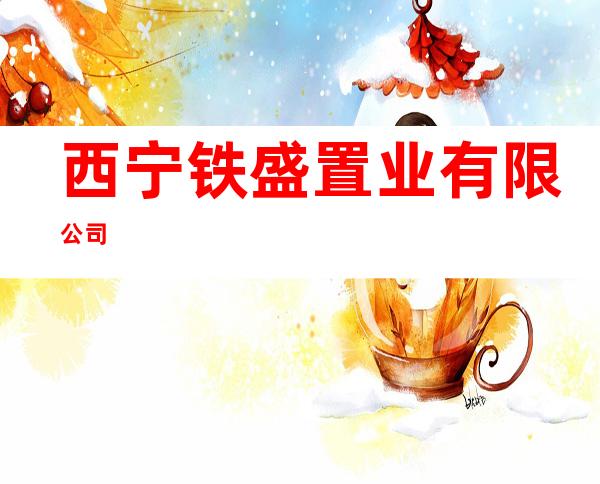 西宁铁盛置业有限公司